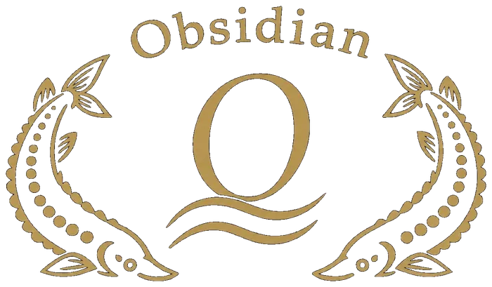 Obsidian