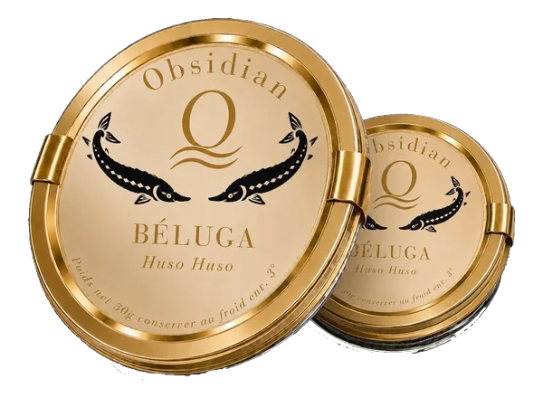 Obsidian Béluga, Huso Huso
