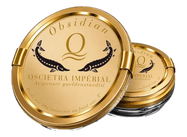 Obsidian Oscietra Impérial, Acipenser gueldenstaedtii