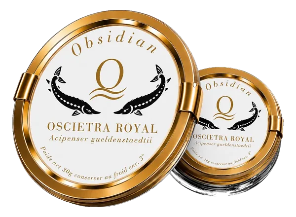 Obsidian Oscietra Royal, Acipenser gueldenstaedtii