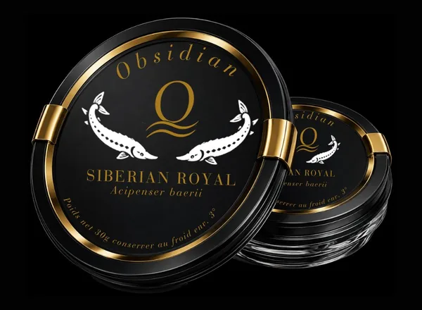 Obsidian Siberian Royal, Acipenser baerii