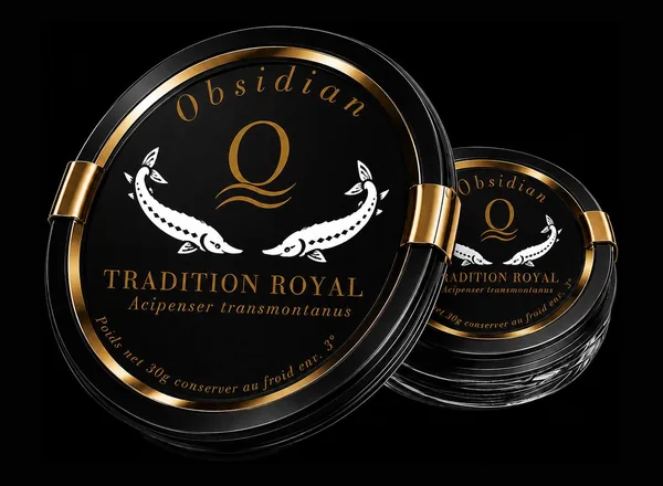 Obsidian Tradition Royal, Acipenser transmontanus