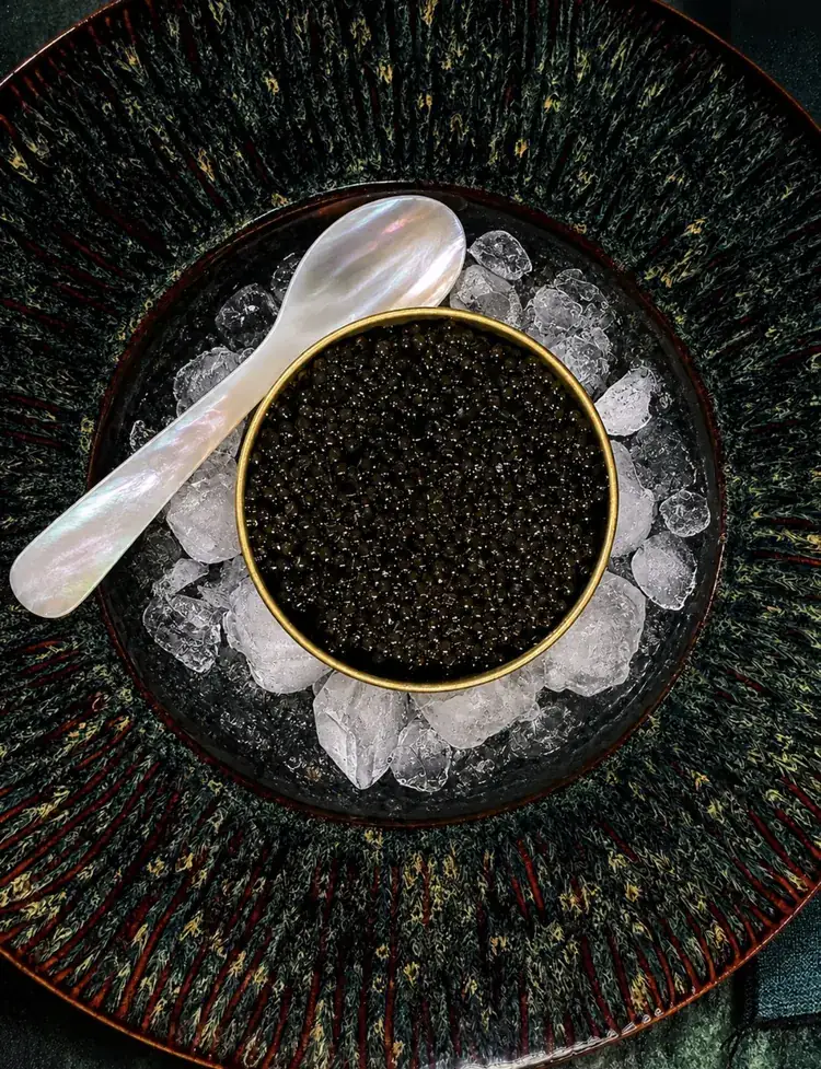 La Maison Obsidian